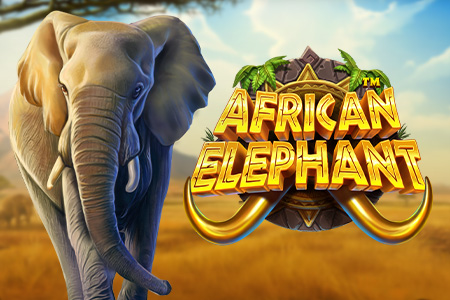 African Elephant