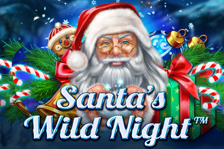 Santa’s Wild Night